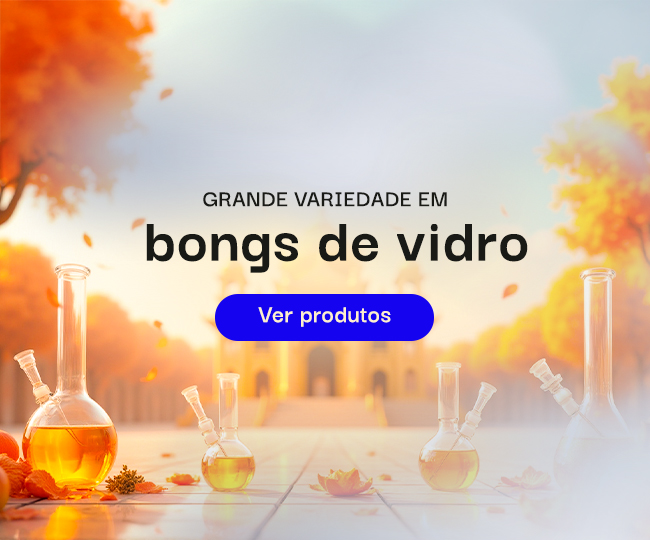 Início
